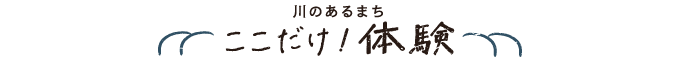 ここだけ!体験