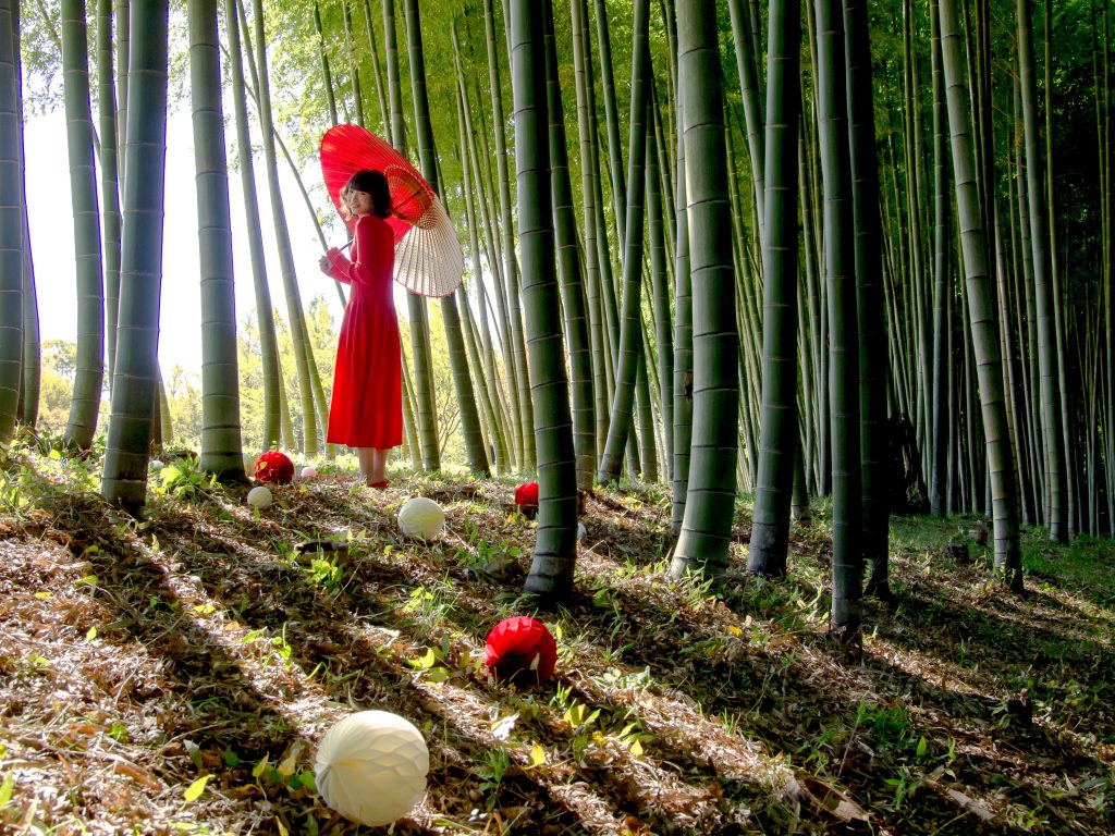 和傘(wagasa)岐阜