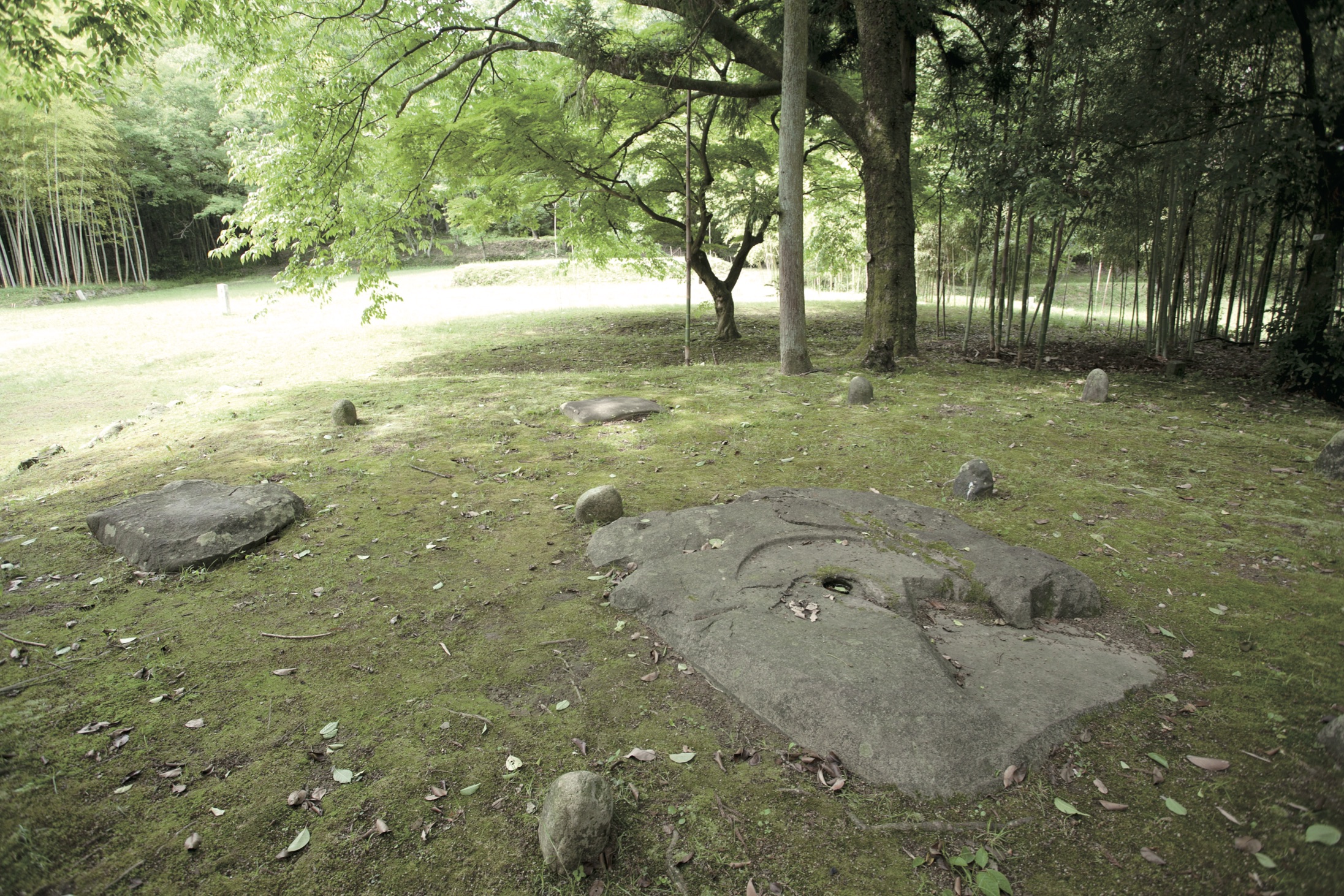 弥勒寺跡 長良川STORY