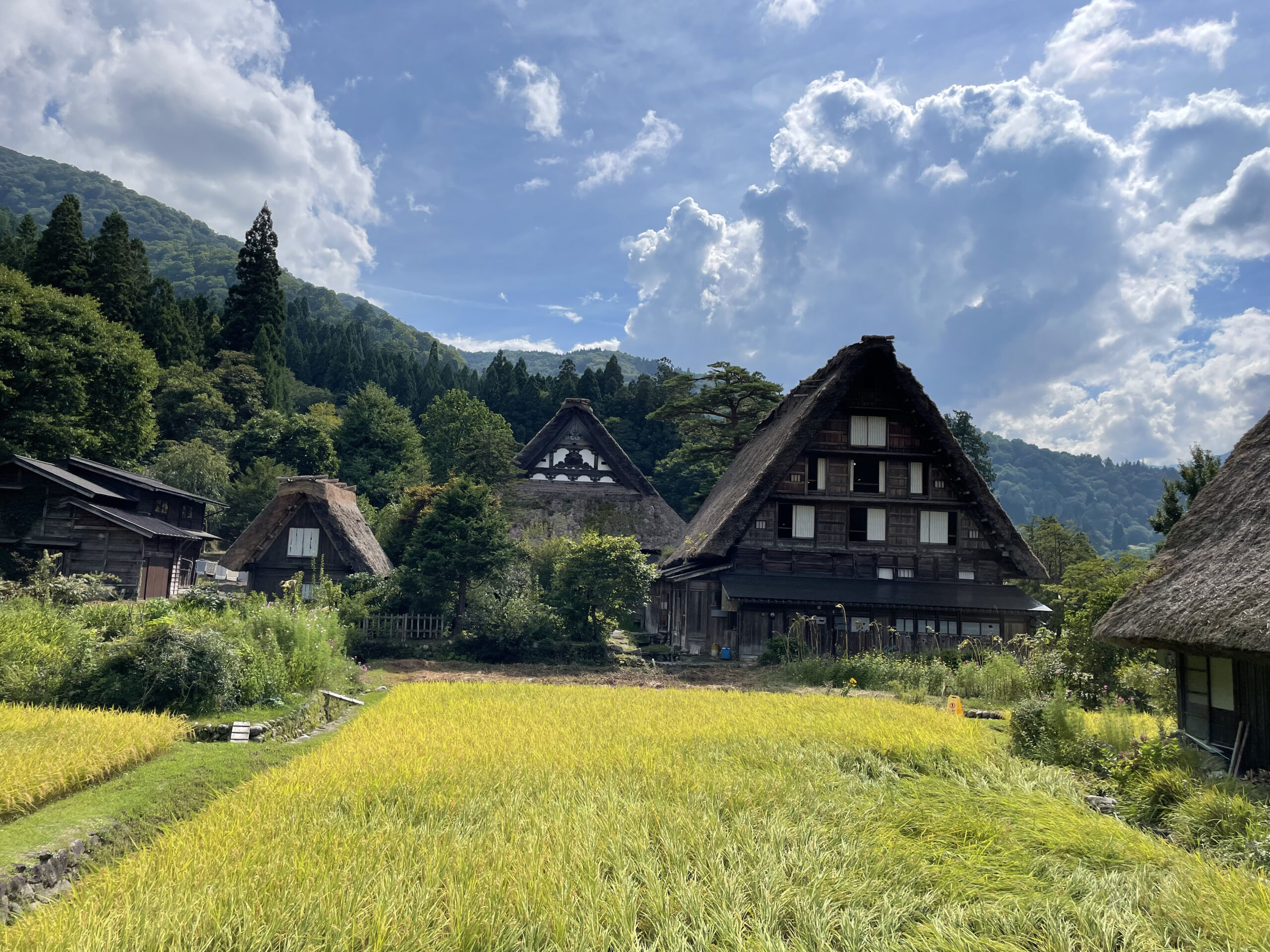 3. 中古品を購入する。